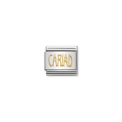 Cariad