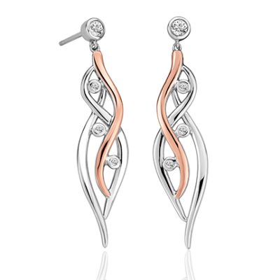 Swallow Falls Drop Earrings