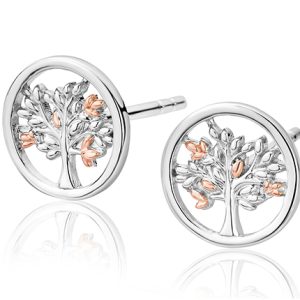 Tree of Life Stud Earrings